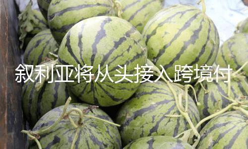 【熱點事件-黑料不打烊】敘利（總臺記者 王薇薇）