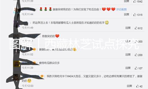 【國產(chǎn)吃瓜在線觀看】圖解探究國產(chǎn)吃瓜在線觀看
