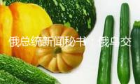 俄總統(tǒng)新聞秘書：俄烏交流?；饤l件清單是優(yōu)先作業(yè)