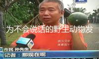 為不會(huì)說(shuō)話的野生動(dòng)物發(fā)聲——青藏高原生態(tài)維護(hù)社群共創(chuàng)活動(dòng)在成都舉行