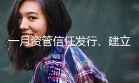 一月資管信任發(fā)行、建立市場規(guī)模下滑