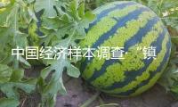 中國(guó)經(jīng)濟(jì)樣本調(diào)查·“鎮(zhèn)”了不得｜從“粗打鐵”到“細(xì)打磨”，“菜刀小鎮(zhèn)”鍛打出200億元大工業(yè)
