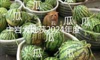 中巖大地獲2024年度華夏建造科學(xué)技術(shù)獎三項(xiàng)