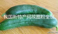 我國新特產(chǎn)何故圈粉全世界（評論員調(diào)查）