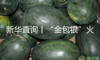 新華查詢丨“金包銀”火了，能定心“入”嗎？