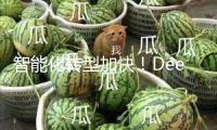 智能化轉(zhuǎn)型加快！DeepSeek進軍消費金融范疇