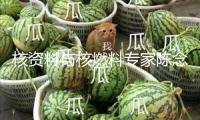 核資料與核燃料專家陳念念院士去世
