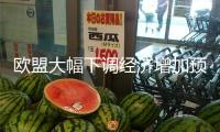 歐盟大幅下調(diào)經(jīng)濟(jì)增加預(yù)期