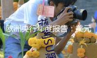 歐洲央行年度報(bào)告：美元在全球外匯儲備中占比下降