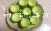 泉州：“新質(zhì)”成果“國(guó)貨之光”