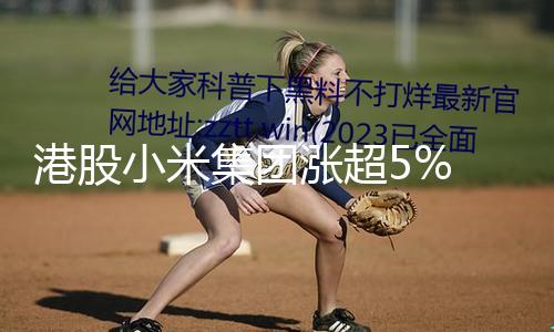 【黑料爆料吃瓜24不打烊】史新港股小米集團(tuán)拉升走高