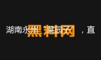湖南永州“菜園子”，直通粵港澳“菜籃子”