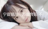 寧夏銀川：萬(wàn)畝良田 不負(fù)春色