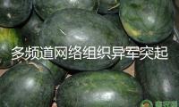 多頻道網絡組織異軍突起 怎樣避坑？怎么長效？