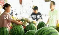 對(duì)立晉級(jí)？俄羅斯與北約在波羅的?！霸┘衣氛?專家：并非偶然
