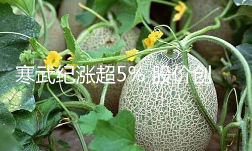 【51dz.con】超股天天吃瓜官方網(wǎng)2月24日