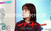 媽媽的味道圖片什么梗