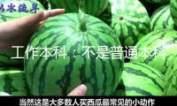 工作本科：不是普通本科“復(fù)制版”，也不是?？平逃凹訌?qiáng)版”