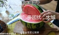面臨“絮”多困擾，大城市管理飛絮有哪些新舉措？