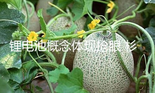 【51吃瓜官網(wǎng)首頁(yè)進(jìn)入】鋰電星云股份20%起伏漲停