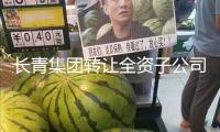 長青集團(tuán)轉(zhuǎn)讓全資子公司股權(quán)發(fā)展：已收到500萬元預(yù)付款