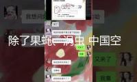 除了果蠅、渦蟲 中國空間站還有哪些“動(dòng)物航天員”