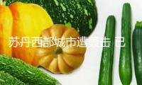 蘇丹西部城市遭轟擊 已致8人逝世