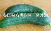 英國(guó)警方再拘捕一名涉嫌參加輔弼住所縱火案嫌疑人