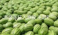 資金張狂入港股 主題ETF年內最猛漲逾30% 多只自動權益基金也接到潑天富有