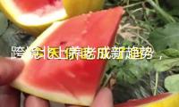 跨境北上養(yǎng)老成新趨勢，廣東推進打造灣區(qū)養(yǎng)老金融新業(yè)態(tài)