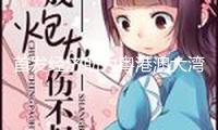 首發(fā)經(jīng)濟助力粵港澳大灣區(qū)消費能級提高