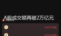A股成交額再破2萬億元 農(nóng)業(yè)、航空板塊漲幅居前