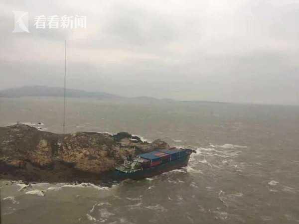 【51今日大瓜 每日大賽往期】澳洲堅果屬常綠喬木