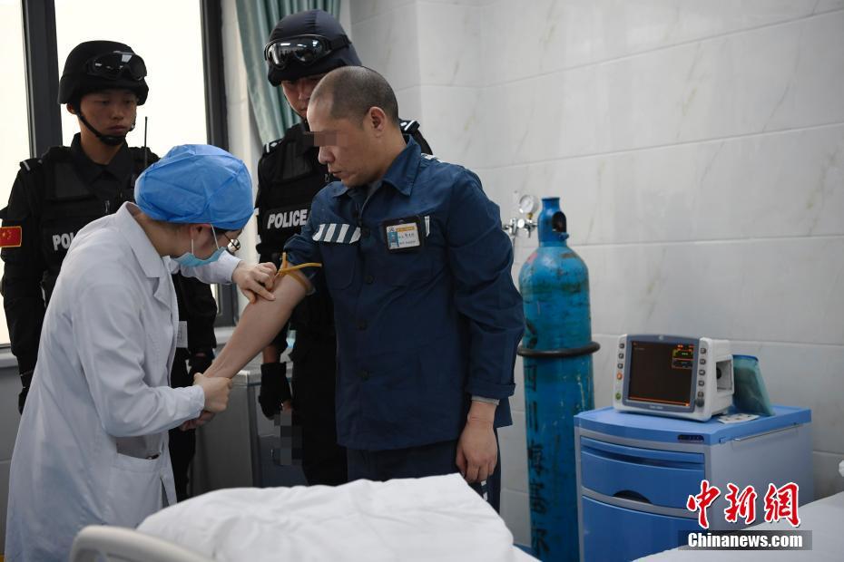 【51cg熱門今日吃瓜】馬身羊尾、頭上鹿科、有犄