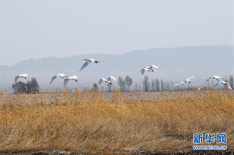 【爆黑料】一起應(yīng)對(duì)歐洲面對(duì)的法德應(yīng)戰(zhàn)