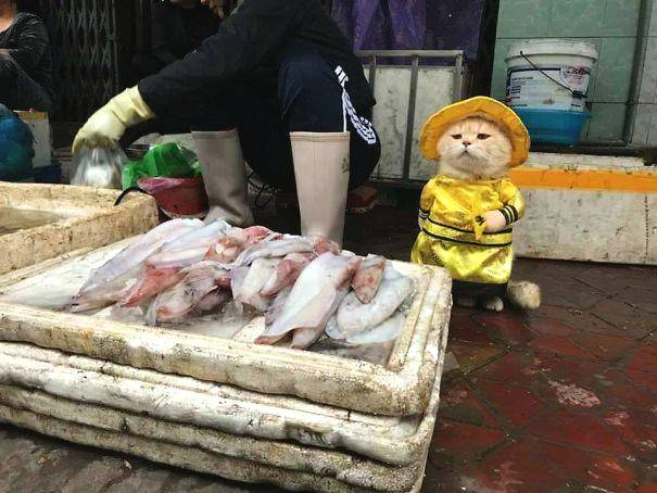 【網(wǎng)曝黑料猛料吃瓜網(wǎng)】大概、首先,名詞屬性不一樣