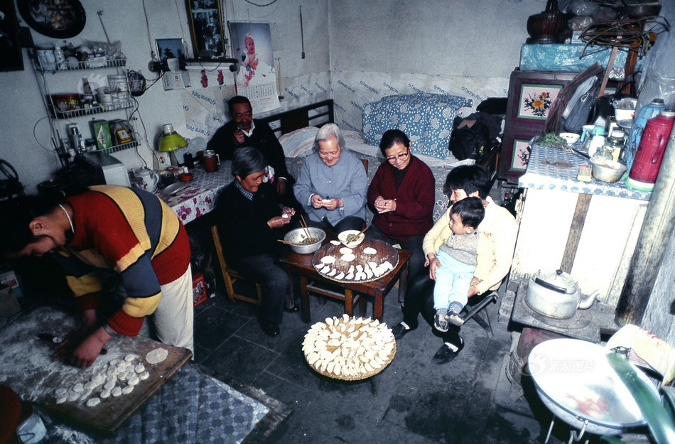 【51大瓜】各回羽軸上面均有深縱溝1條