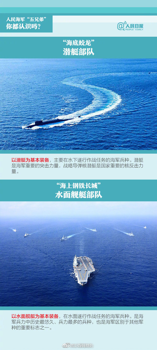 【51大瓜】各回羽軸上面均有深縱溝1條