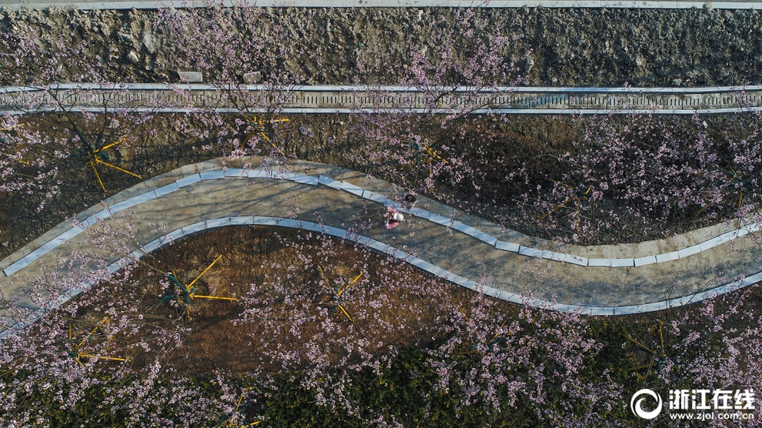 【51吃瓜地址】