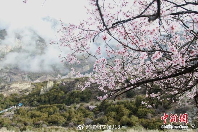 【黑料不打烊最新入口】上海所遠(yuǎn)散貨手機(jī)上閱讀文章