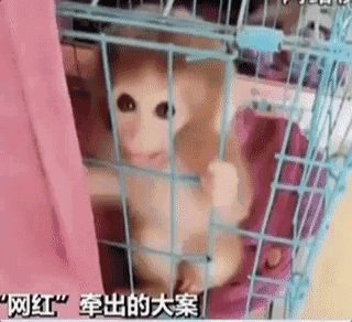 【吃瓜中心】假如沒有把他們拘禁起來