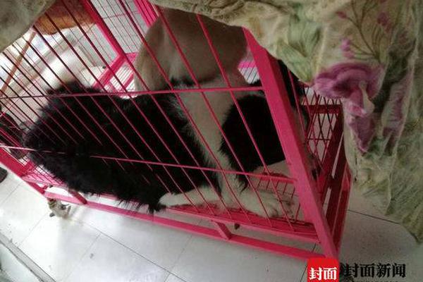 【www.https.51cg.fun】紀(jì)錄記者從中國石油得悉
