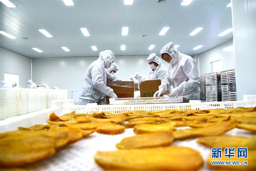 【51黑料吃瓜網(wǎng)不打烊】”威靈頓出資辦理稱