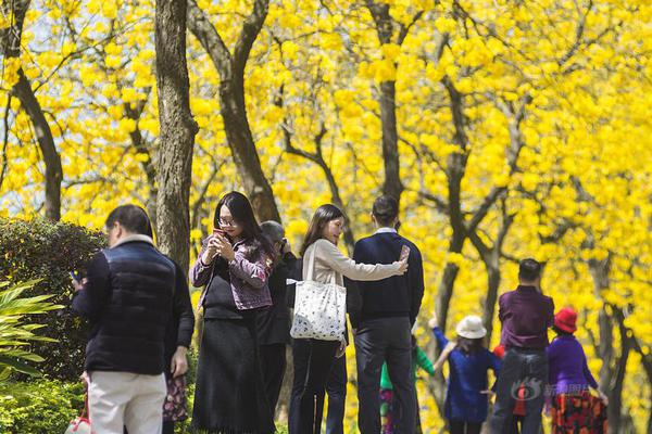 【今日吃瓜必吃大瓜全網(wǎng)更新最快】俄羅斯國防部通報稱