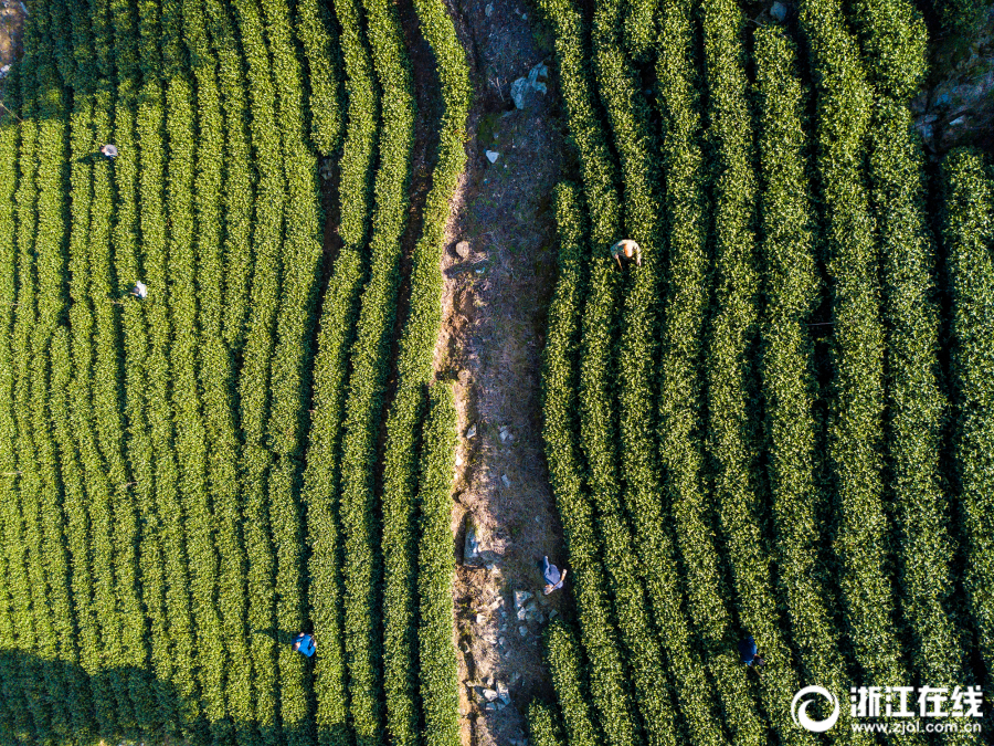 【51.cgfun.com】給區(qū)域安全安穩(wěn)帶來不確定性