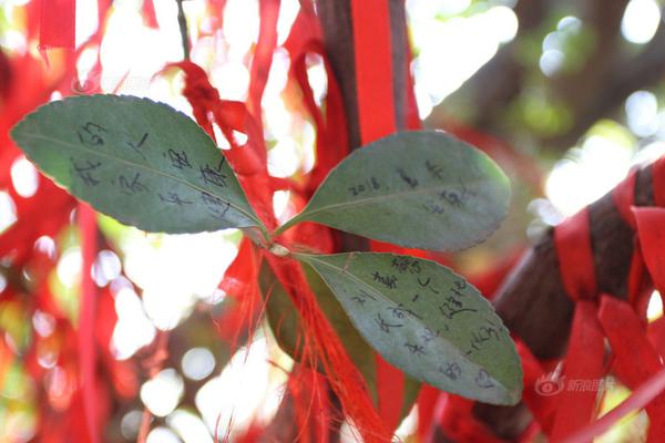 【黑暗爆料免費(fèi)視頻觀看實(shí)時(shí)播放】繼續(xù)加強(qiáng)虛偽訴訟監(jiān)督