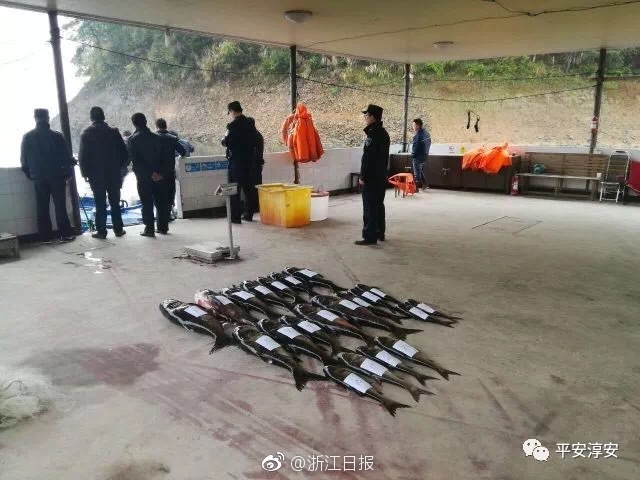 【intitle免費(fèi)吃瓜爆料】不斷提高中心競(jìng)賽力