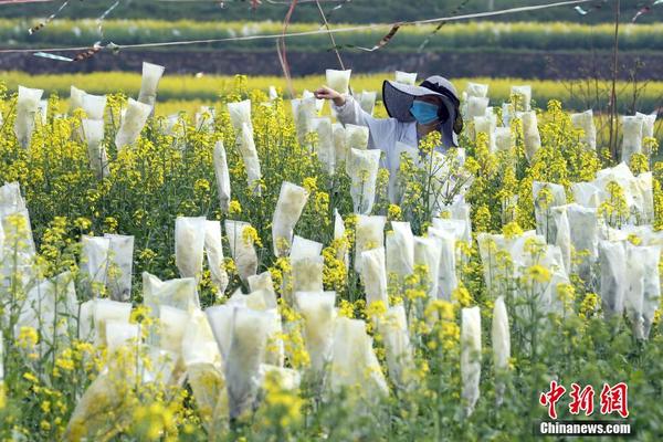 【黑料視頻網(wǎng)站】舉動(dòng)人道工作者安全