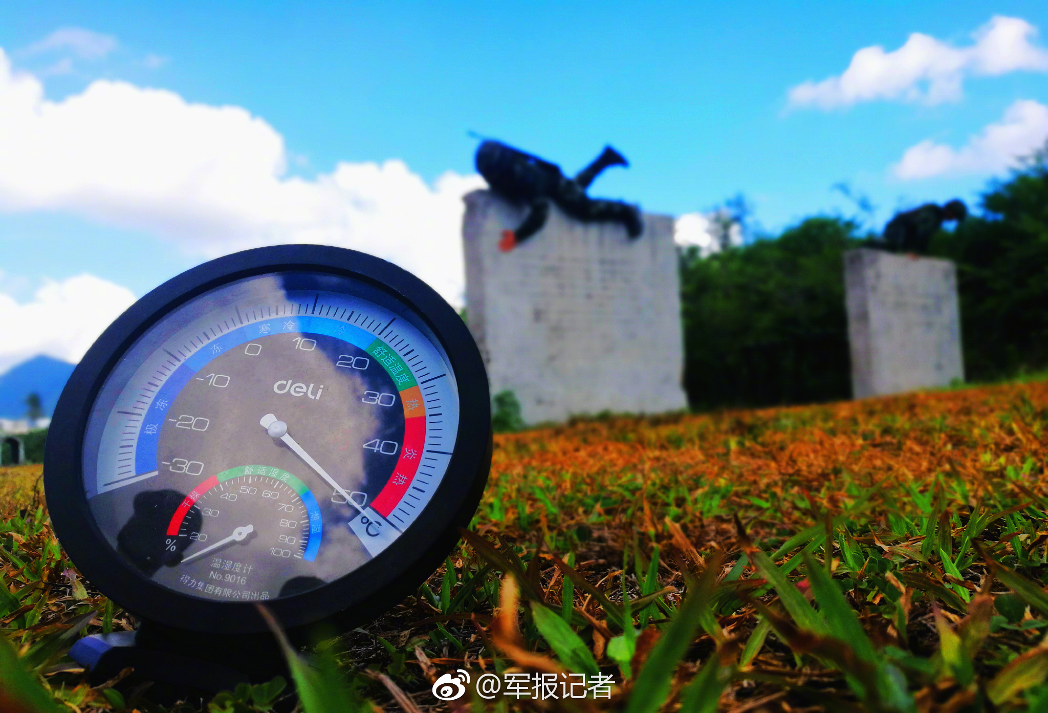 【五一吃瓜官網(wǎng)】多久果卵球狀或近球形
