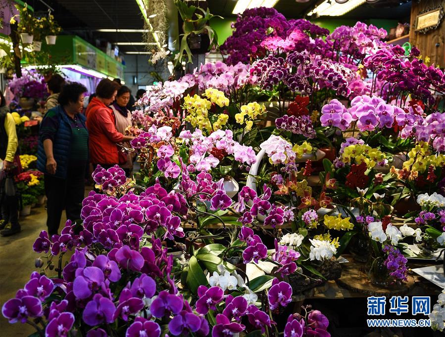 【網(wǎng)爆門在線官網(wǎng)】生春努力做到早招多招